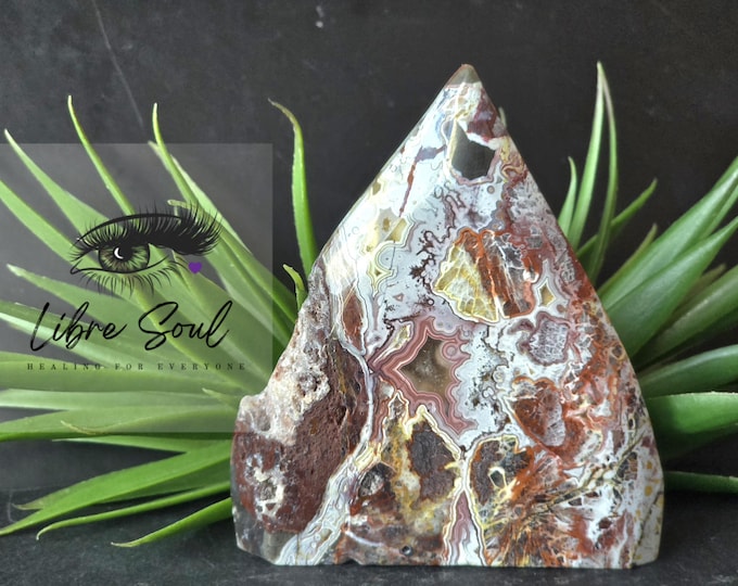 Natural Crazy Lace Agate Crystal  4" Freeform with Natural Markings~ Stunning