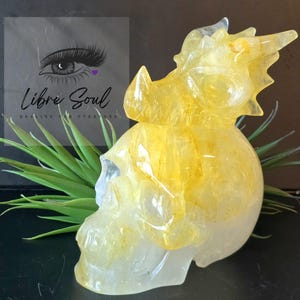 Golden Healer Quartz Crystal Skull Carving with Dragon Head - 6&quot; Tall