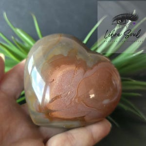 May include: A heart-shaped polished agate stone with brown, white, and grey swirling patterns.