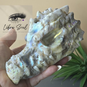 Natural Sphalerite Aura Dragonhead with Druzy Crystal Carving~ Must Have!