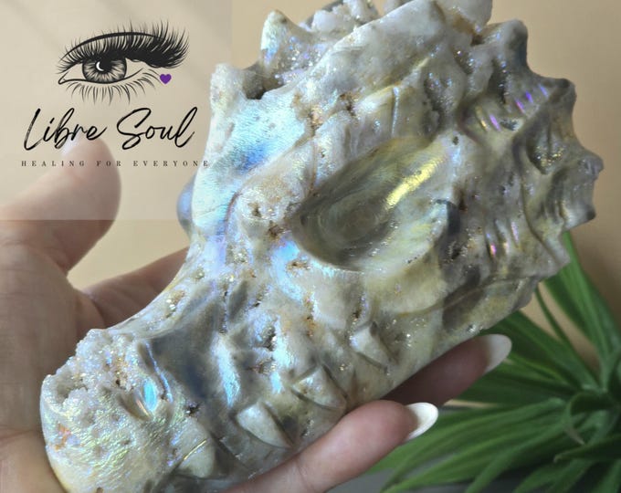Natural Sphalerite Aura Dragonhead with Druzy Crystal Carving~ Must Have!