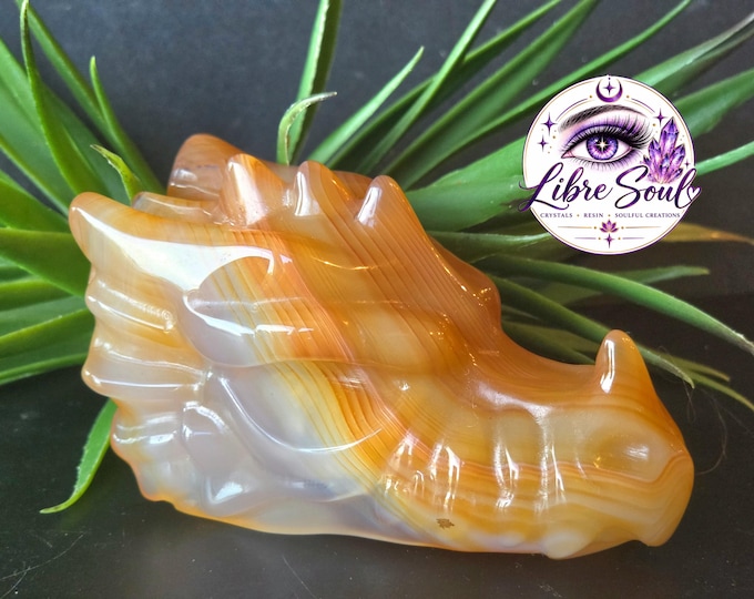 Natural Carnelian Dragon head Crystal Carving|Gorgeous Banding