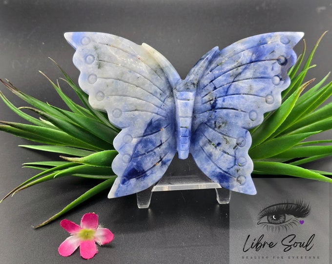 Natural Sodalite Butterfly Carved Crystal with Stand~ Beautiful Gift Idea!