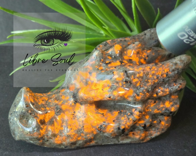 Natural Yooperlite Crystal Dragon Head| UV Reactive 4"