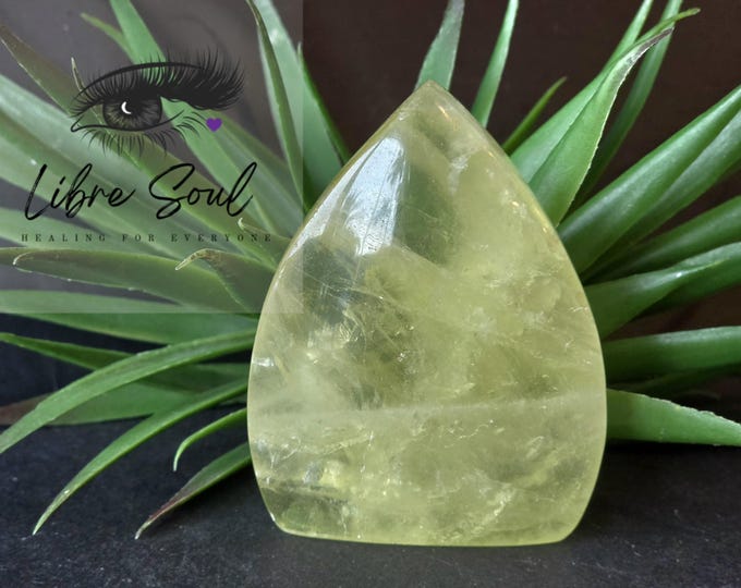 Natural 2.75" Citrine Crystal Quartz Freeform~Good Luck, Good Fortune