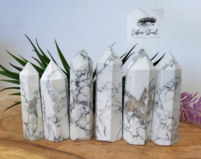 Natural Howlite  Crystal Points
