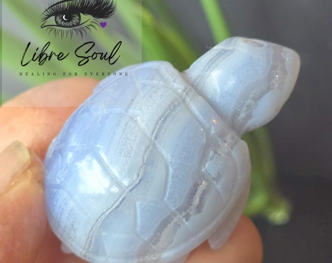 Blue Lace Agate turtle : Hand Carved Crystal Figurine