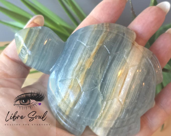 Natural Blue Onyx 3.5" Turtle Crystal Carving w/ Druzy| Super Cute~ New Job~ New Home~ Gift Idea~ Good Luck/Blue Lemurian