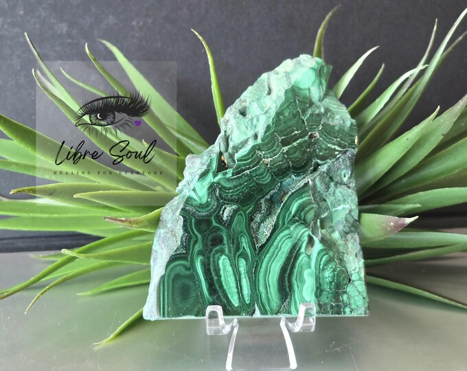 Natural  Malachite with Druzy Slice Slab Specimen with Stand~ Beautiful