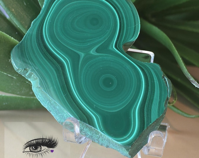 Natural Polished Malachite Slice Slab Specimen with Stand~ Beautiful