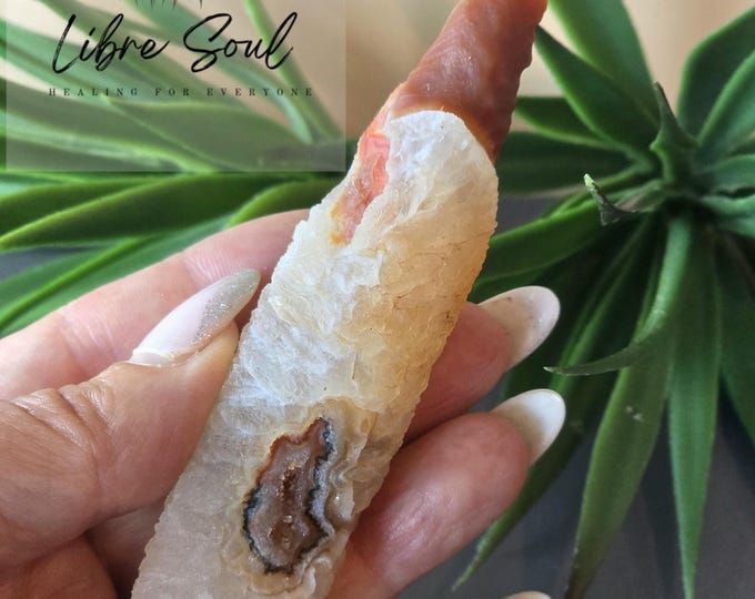 Natural Wind Cut Fossil Agate Crystal~4.5" ~ Refills|