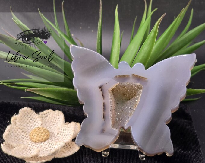Natural Agate Druzy  Butterfly Crystal with Stand/ Gift Idea