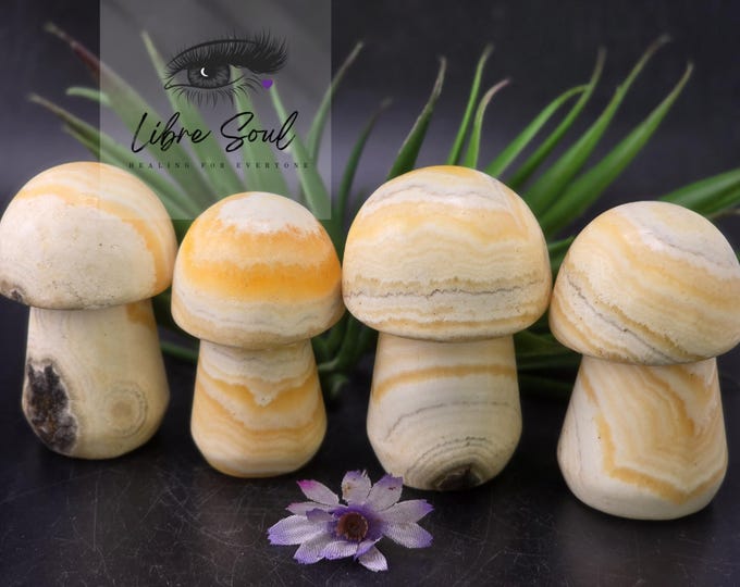 Natural Yellow Banded Calcite Mushroom Carving| MUST HAVE| Good  VALUE!! Good Luck~ Manifesting ~ Meditation