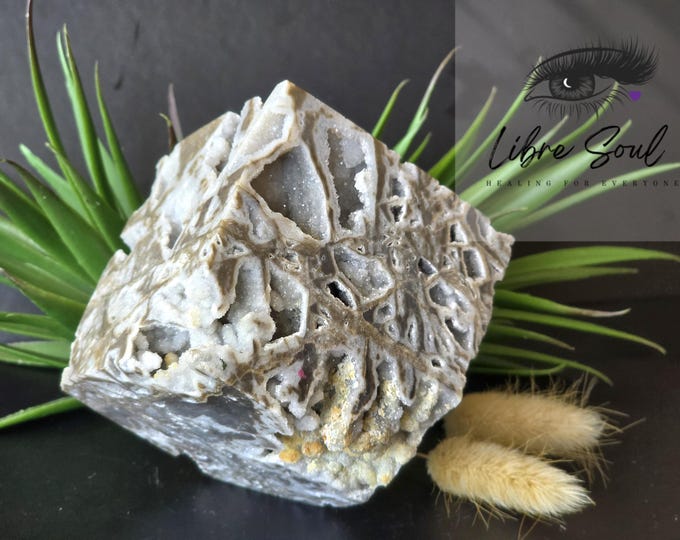 Natural Sphalerite Heptahedron with tons of Druzy