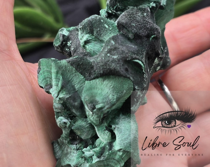 Natural Raw Malachite Milky Crystal Specimen w/stand