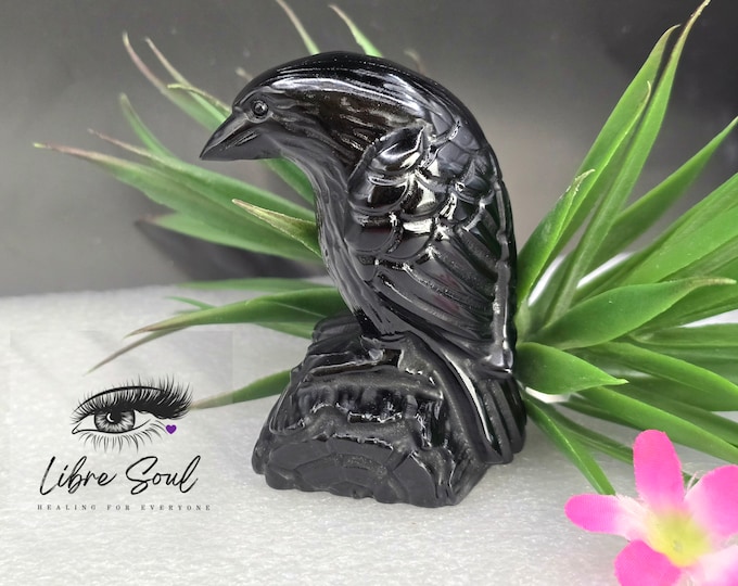 Natural Obsidian Crow Crystal Carving