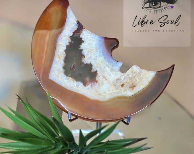 Natural Large Carnelian Crescent Moon Face with Druzy and with Stand| 6.5" Carnelian Quartz Crystal