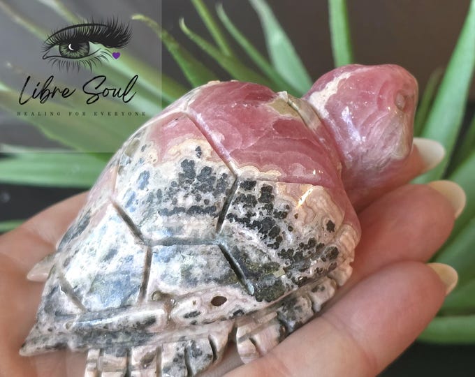 Natural Rhodochrosite Carved Turtle Crystal Super Cute and Rare