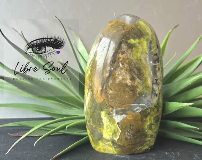 Natural Green Opal Crystal Freeform ~ Abundance!!