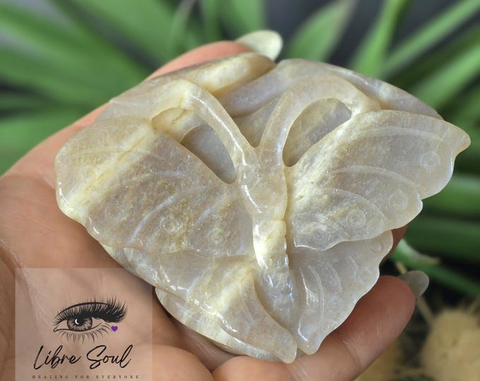 Natural Moonstone Butterfly Crystal Carving ~ Flashy and with Stand included.