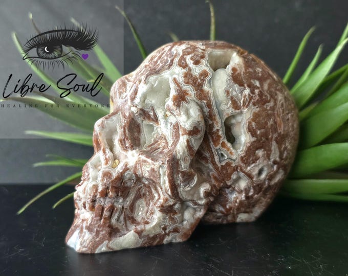 Natural 4" Mexican Lace Agate Druzy Skull| Crystal Carved Skull with Sugar Druzy