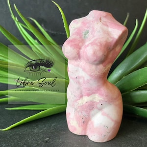 May include: A pink and white stone torso sculpture. The sculpture is a stylized representation of a female form. The background includes green plants and the text "Libre Soul Healing for Everyone".