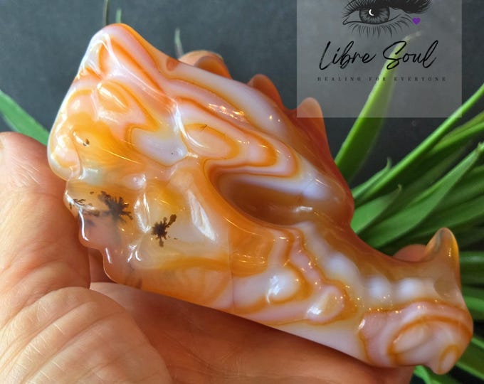 Natural Carnelian Dragon head Crystal Carving|Dendrites|Gorgeous Banding