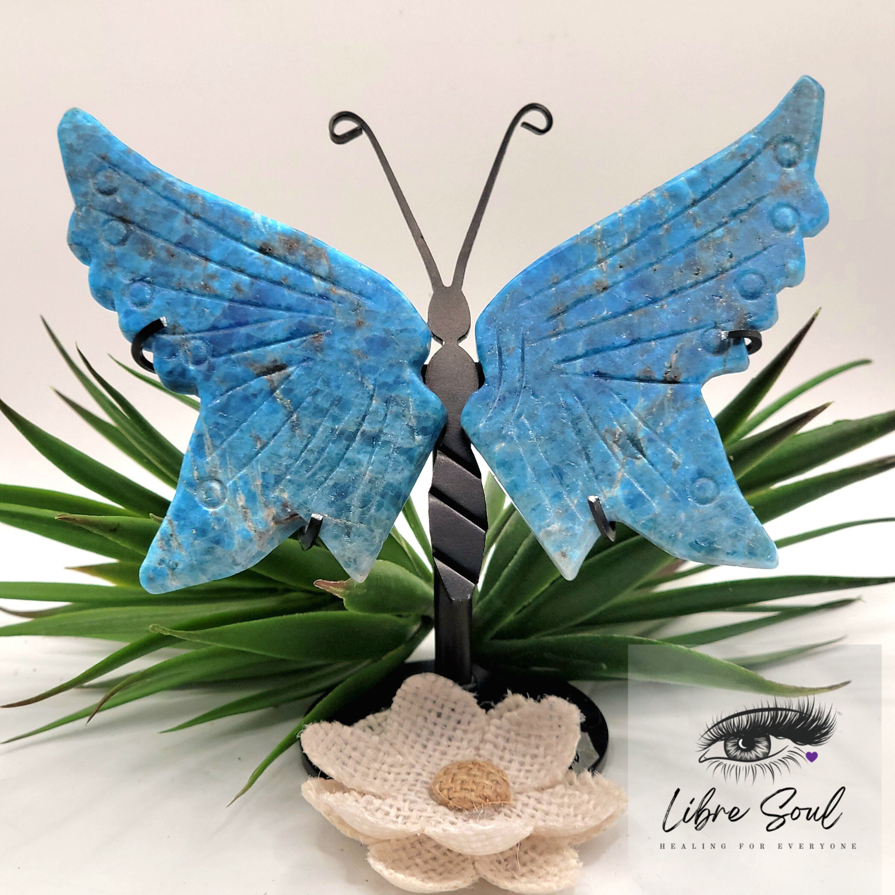 Blue Butterfly Tarot - Etsy