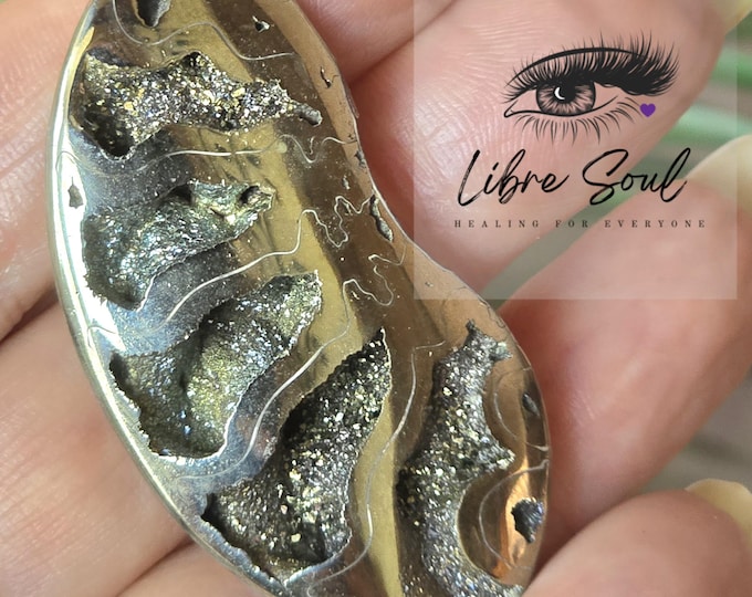 Natural Pyrite Ammonite Fossil| Pyritized Ammonite| Ammonite Pyrite Fossil| "aka" Fools Gold!