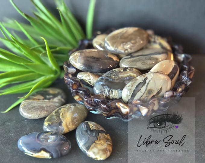 Natural Volcanic Agate Palm Stone: Polished Stone Crystal UV Reactive (Pochette Included)