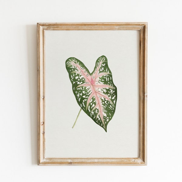 Caladium Leaf Print | Botanical Printable Wall Art | Botanical Wall Decor | Print Yourself | Leaf Art for Plant Lovers