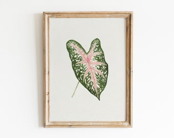 Caladium Leaf Print | Botanical Printable Wall Art | Botanical Wall Decor | Print Yourself | Leaf Art for Plant Lovers