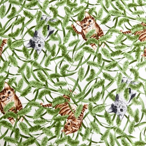 Tissu en coton - chat, chaton, chaton