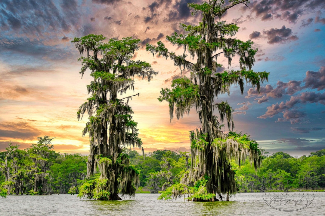 Home is Where the Heart Is. Wall Hanging Canvas Etsy