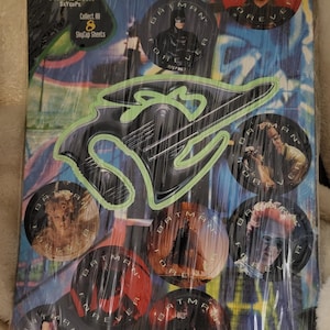 Puede incluir: Una hoja de ocho pegatinas SkyCaps Batman Forever que brillan en la oscuridad. Las pegatinas presentan diferentes personajes de la película, incluyendo Batman, Robin y Dos Caras. La hoja está empaquetada en una bolsa de plástico con una tarjeta de encabezado que dice "SkyCap Sheet" y "Collect All 8 SkyCap Sheets".