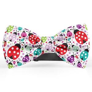 May include: A white bow tie with a pattern of colourful ladybugs and hearts.
