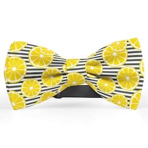 Herrenfliege, Einstecktuch, Kinderfliege, Fliege für Kleinkinder, Fliege für ihn, Neuheit und Krawatte Fliege (Fresh Lemons)