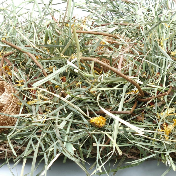 Grassland with Forage Mix | Forage Activity Mat | All-Natural Chew Toy | Enrichment Toy for Bunny Rabbit, Guinea Pig, Chinchilla, and Others