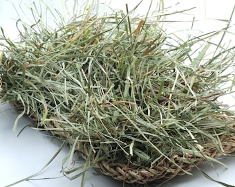 Grassland - Forage Activity Mat | All-Natural Chew Toy | Enrichment Toy for Bunny Rabbit, Guinea Pig, Chinchilla, & Small Animals