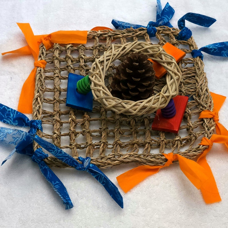 Seagrass Busy Activity Mat Chew Toy for Bunny Rabbits Birds Etsy