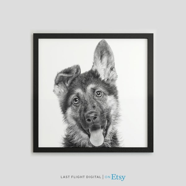 Dog Print, German Shepherd, Dog Poster, Puppy Print, Puppy Poster, Kids Room, Face, Black White Photo, Nursery, German Shepherd Print