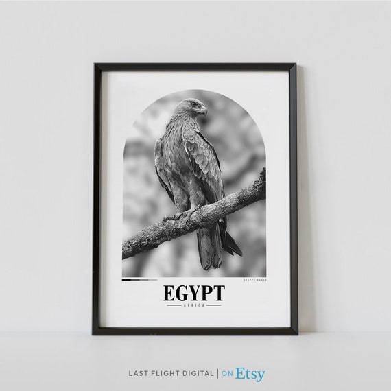 Egypt National Animal Print Steppe Eagle Poster Eagle Print - Etsy Egypt National Animal Print Steppe Eagle Poster Eagle Print - Etsy