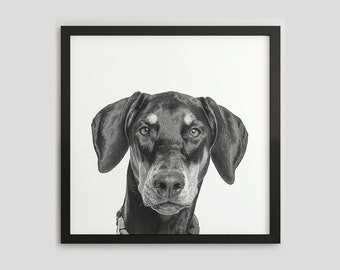 Dobermann Pinscher schwarz und weiß Hunde Portrait, Haustier Fotografie Druck, Hund Wandkunst, digitaler Download