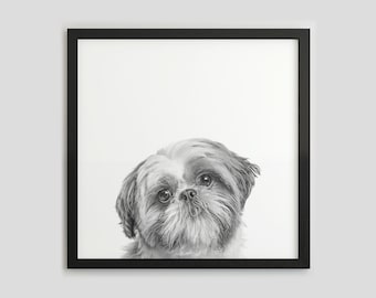 Retrato de perro Shih Tzu en blanco y negro, impresión fotográfica de mascotas, arte de pared para perros, descarga digital