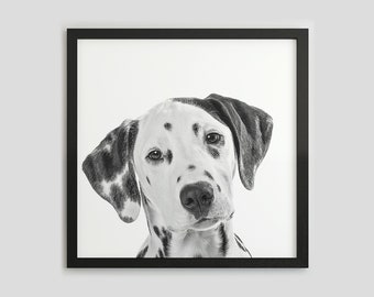 Schwarzweißer Dalmatinerhund, Haustierfotografie, Hundewandkunst, digitaler Download