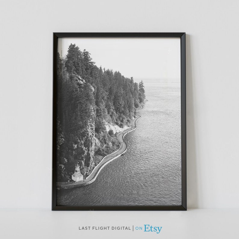 May include: A black and white photograph of a winding road along a cliffside overlooking a body of water. The road is lined with trees and the water is calm and still.
