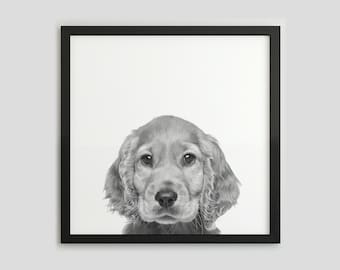 Cocker Spaniel Black and White Dog Portrait, Pet Photography Print, Dog Wall Art, Digital Download