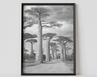 Baobab Avenue Madagascar Black and White Travel Poster, Morondava Photography Print, Africa Wall Art, Digital Download