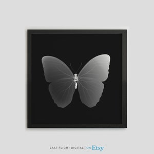 Impresión de rayos X de mariposa, cartel de mariposa, impresión de mariposa, foto de insecto, foto en blanco negro, arte de la pared, rayos X de insectos, gótico, macabro, arte gótico