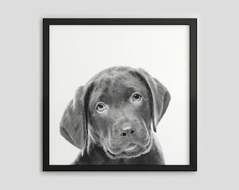 Retrato de perro Labrador Retriever en blanco y negro, impresión fotográfica de mascotas, arte de pared para perros, descarga digital